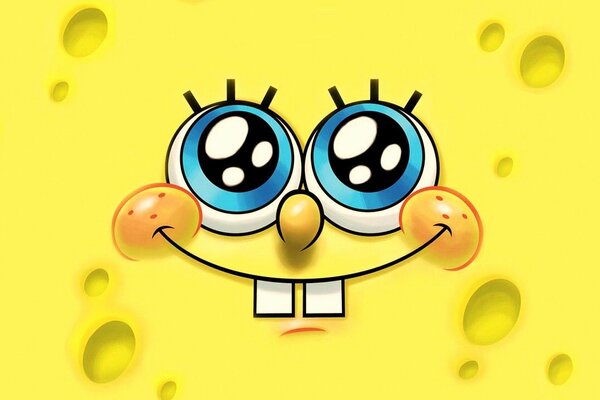 SpongeBob sponge, squarepants