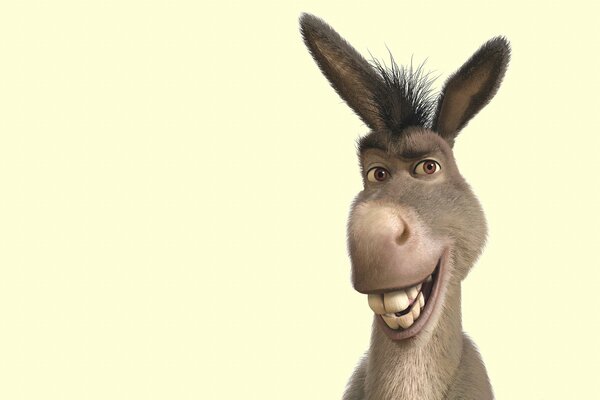 Charming smile of a stupid donkey
