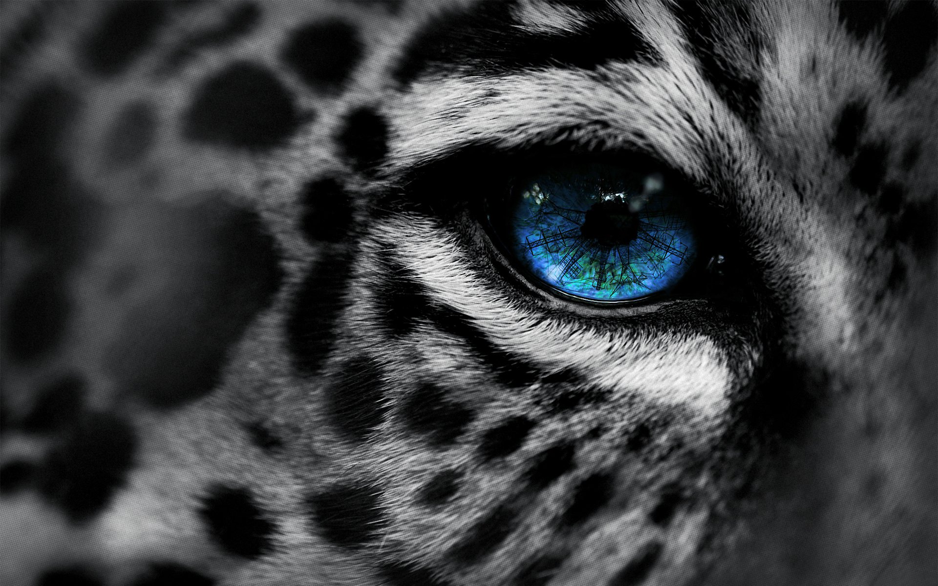 leopardo ojo macro en eg-art