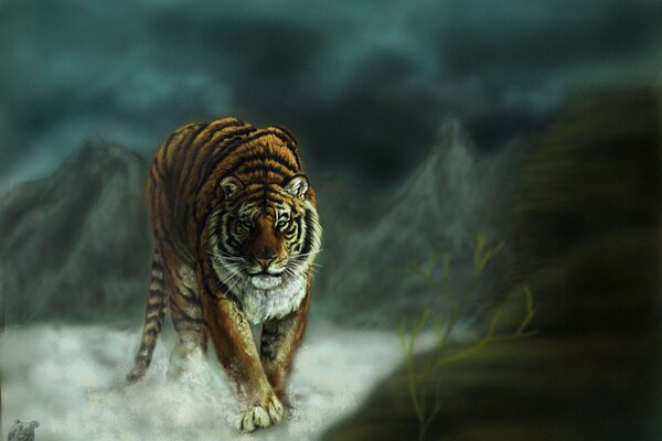 Tigre majestuoso camina en las montañas