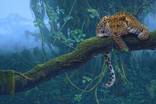 Jaguar se sienta en un árbol y busca presas