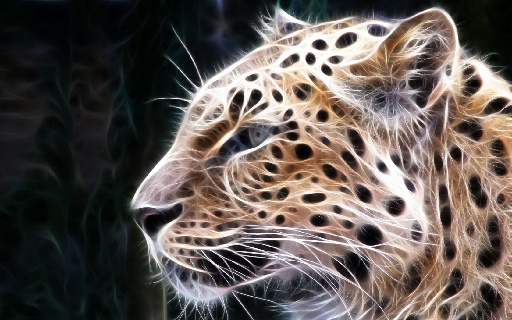 elaborazione leopardo predatore gatti