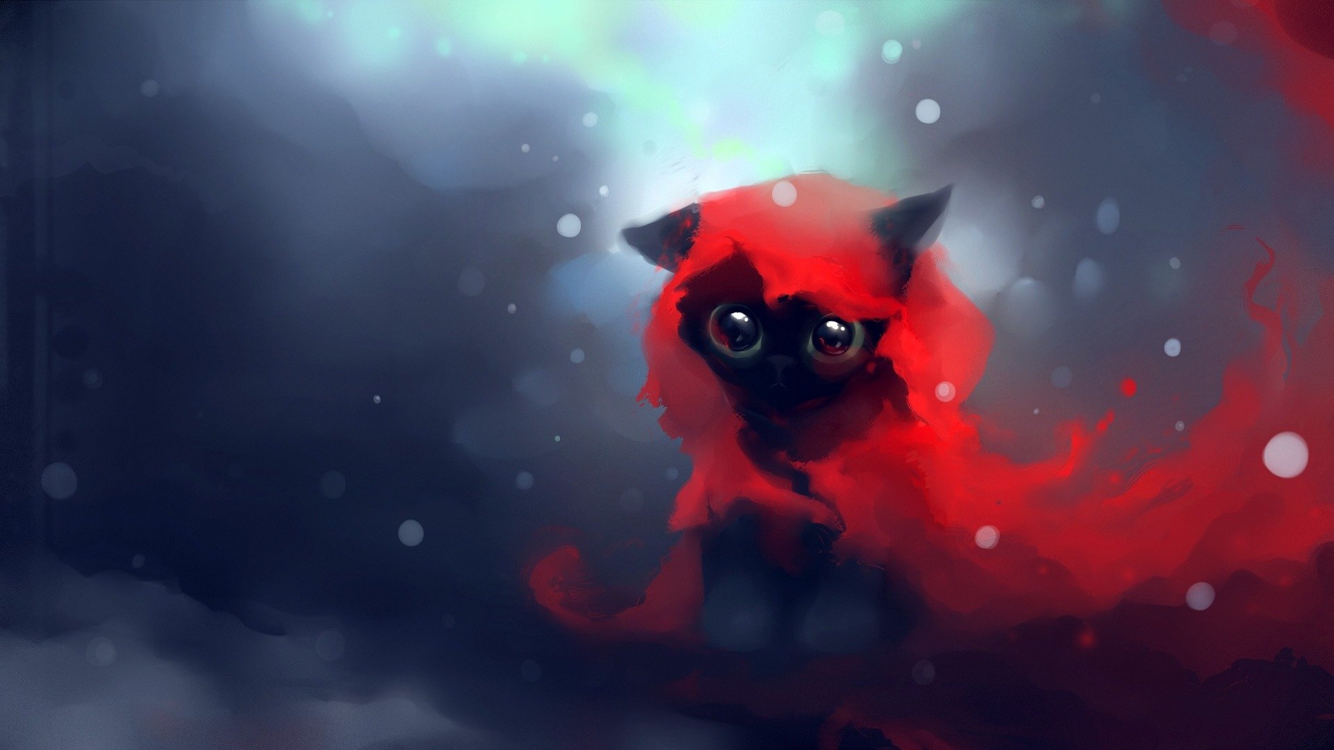 kitten red snow view eyes apofi