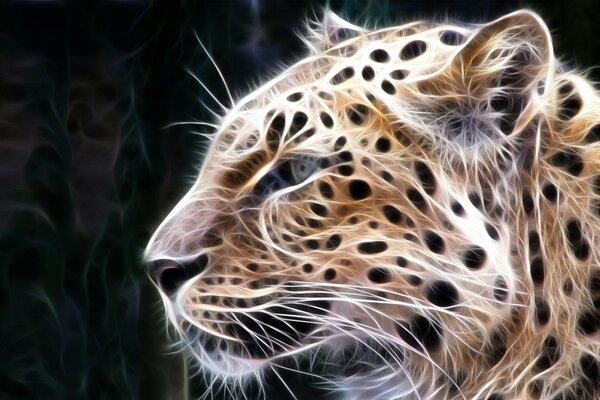 Elaborazione dell immagine «leopardo luminoso»