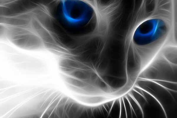 Imagen popular de un gato con ojos azules en neón