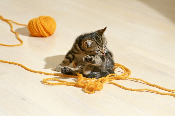 Striped kitten with a ball of thread