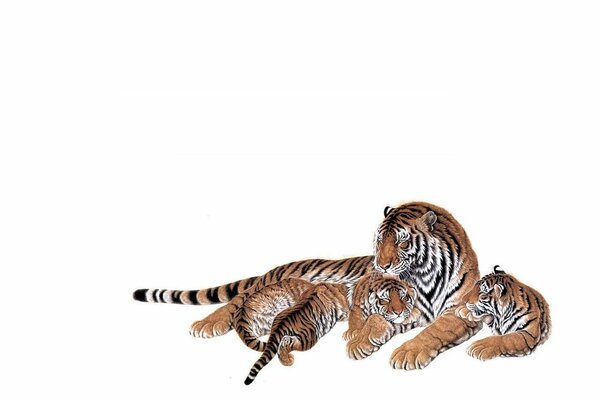 Una tigresa se acuesta con sus bebés
