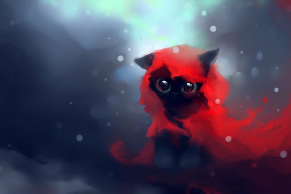 A kitten in a red raincoat looks carefully