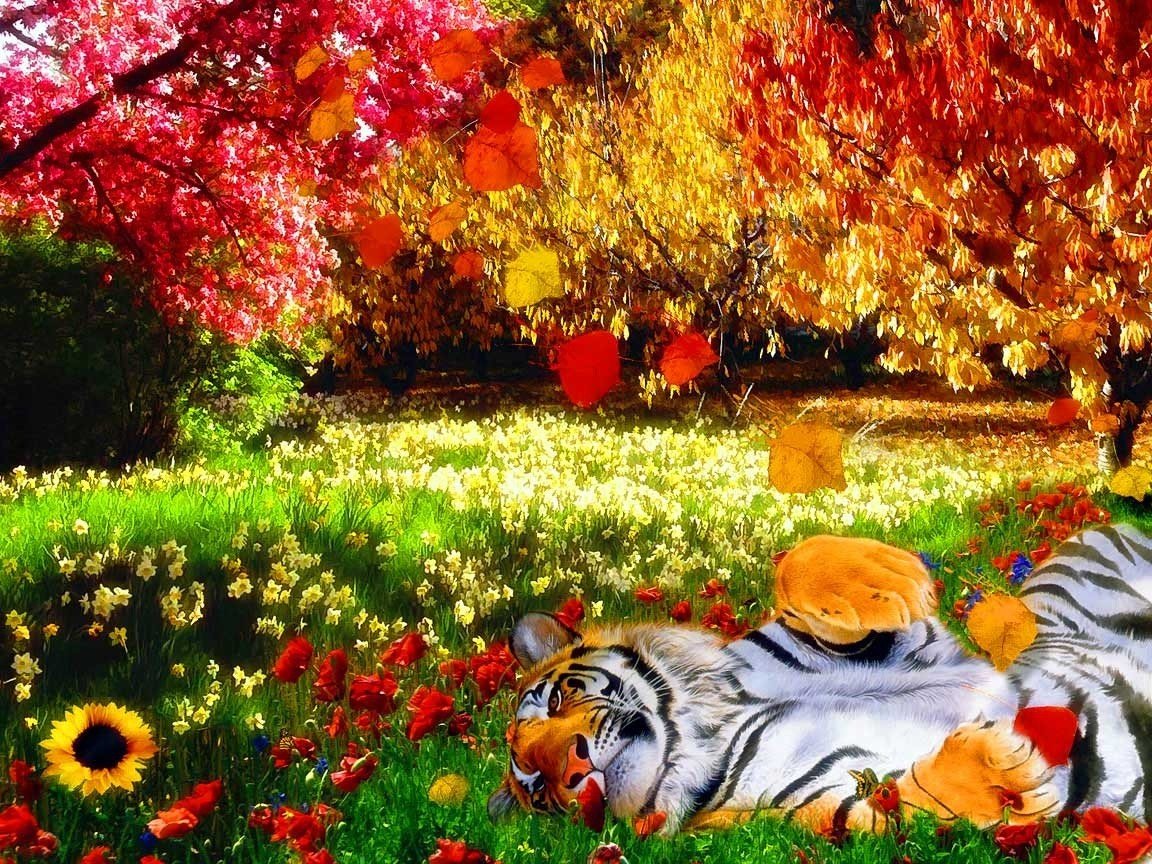 tigre nature couleurs vives chaleur fleurs arbres feuilles herbe