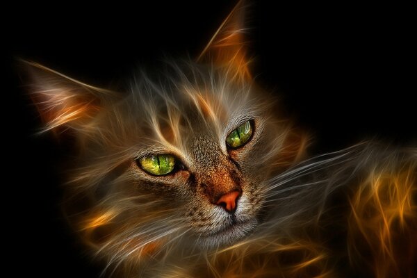 Processed portrait of a fluffy cat on a black background