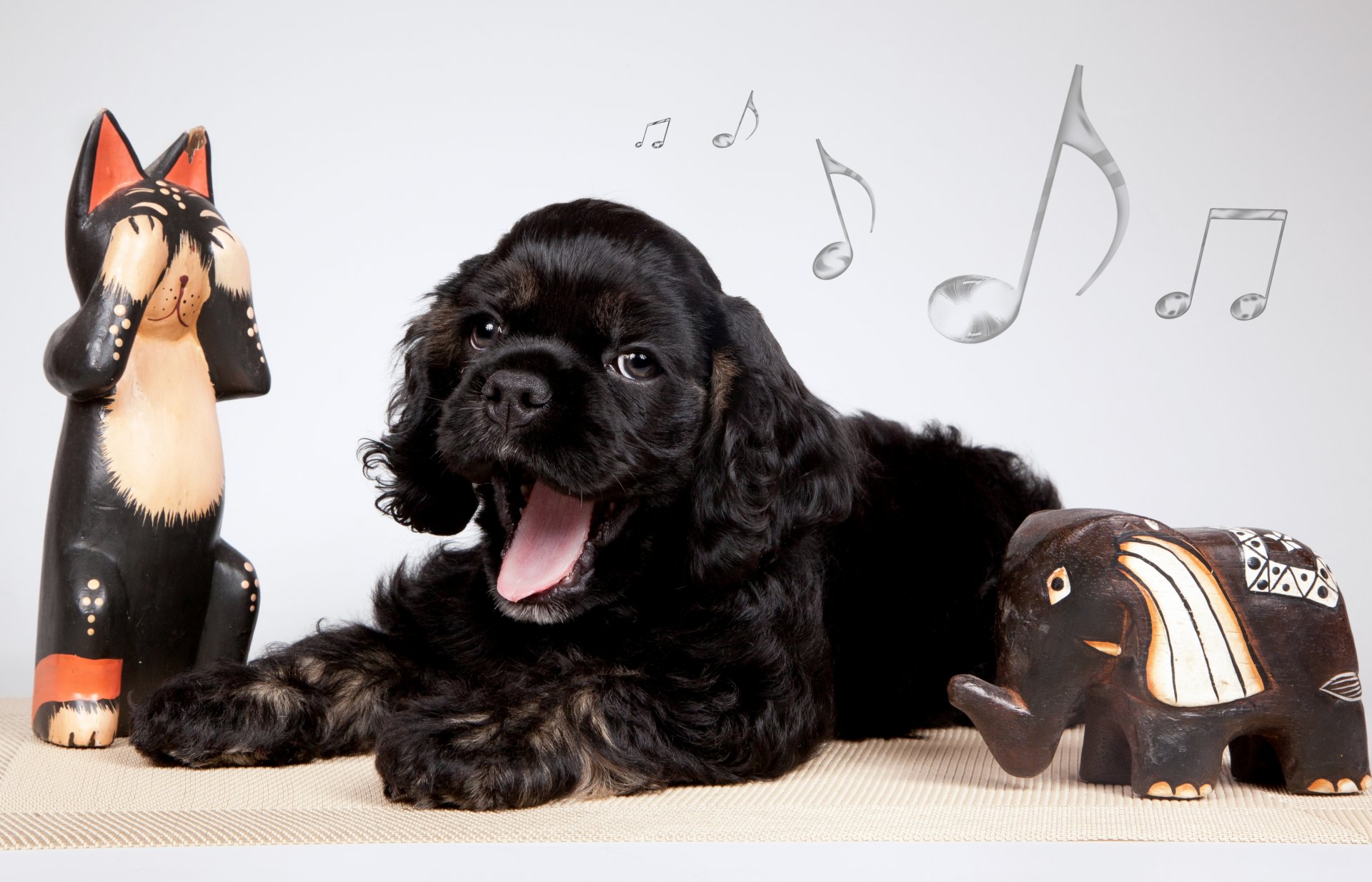 cocker spaniel chiot figurines éléphant notes bâillements