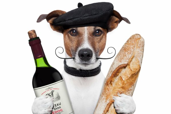 Le chien choisit entre le pain et le vin