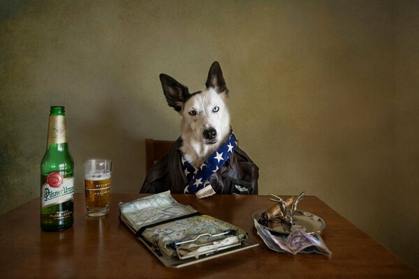 Dog with beer at the table in a business style