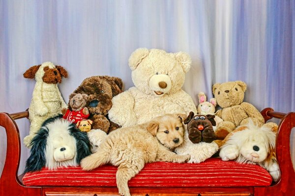 Мягкие игрушки и собака на красном диване
