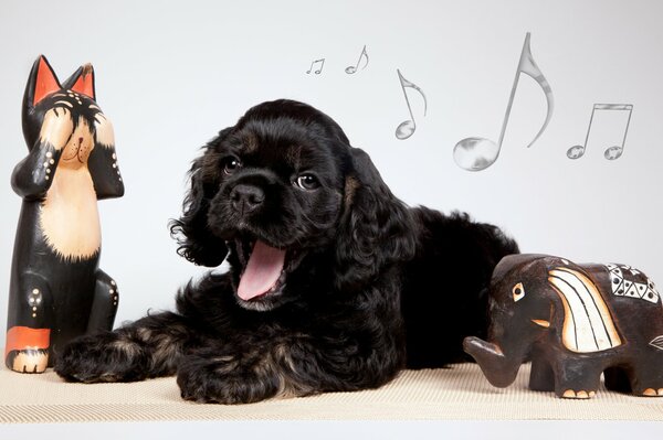 Cachorro de Cocker Spaniel en el fondo de las notas bosteza