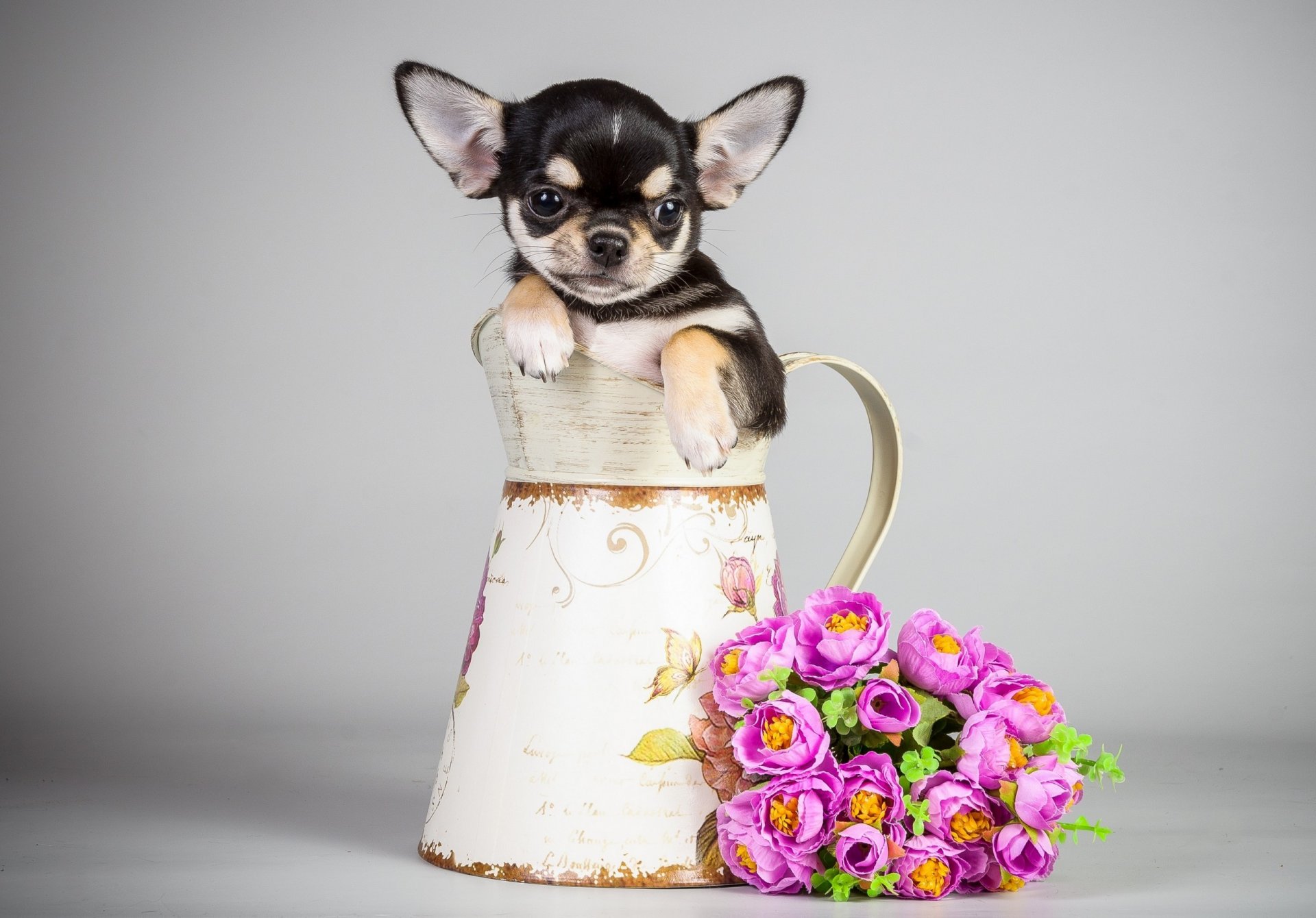 dog puppy jug flowers bouquet