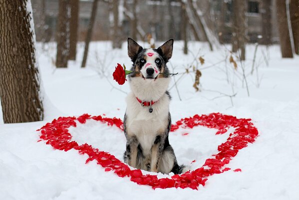 Le chien dépeint son amour