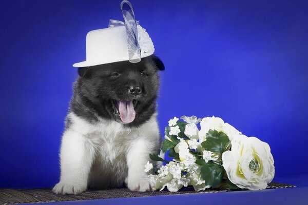Regalo cucciolo in un cappello con un mazzo di fiori