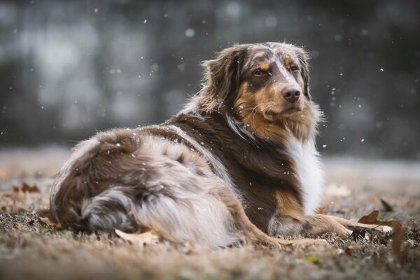 Enjoying a moment of solitude in the autumn season