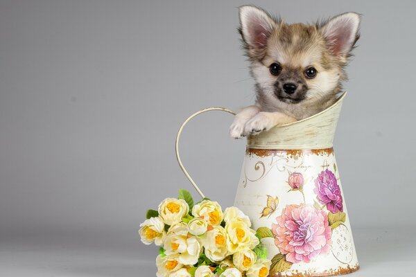 The original gift puppy gives a bouquet of flowers