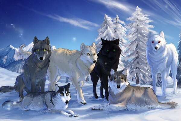 Loups assis dans la forêt enneigée