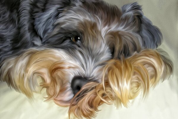 Shaggy dog on the bed photoshop
