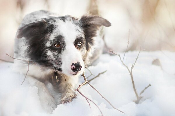 Sable gris et blanc sur la neige