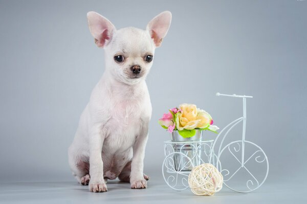 White toy with a bouquet of flowers
