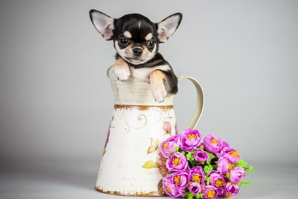 Lindo perro en una jarra de flores