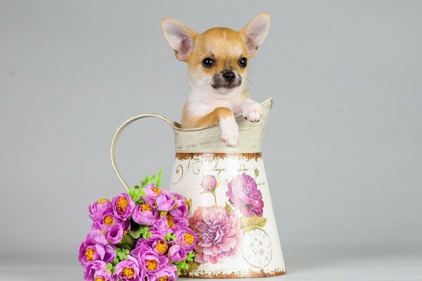 Chiot dans une cruche avec un bouquet de fleurs
