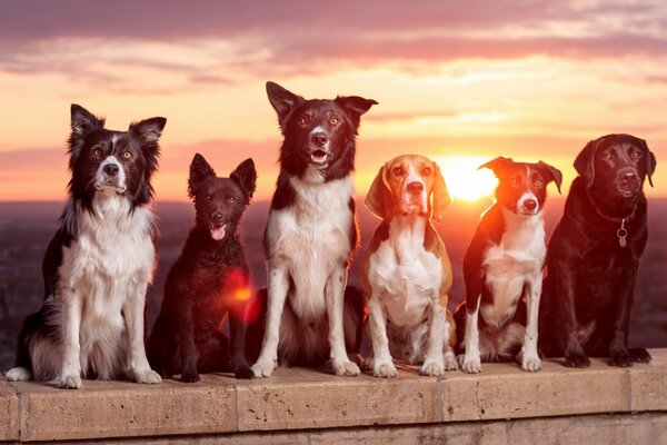 Spectacular sunset after a long day