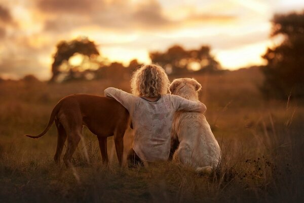 Mädchen mit Hunden. Blick von hinten