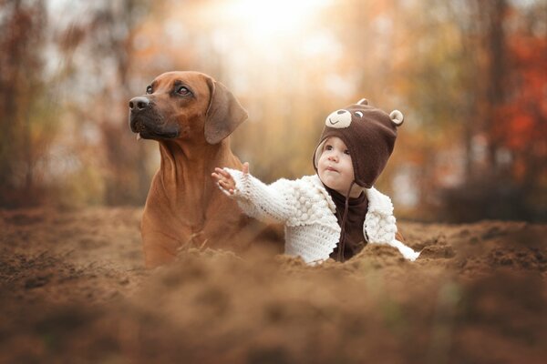 Photo d automne d un enfant avec un chien