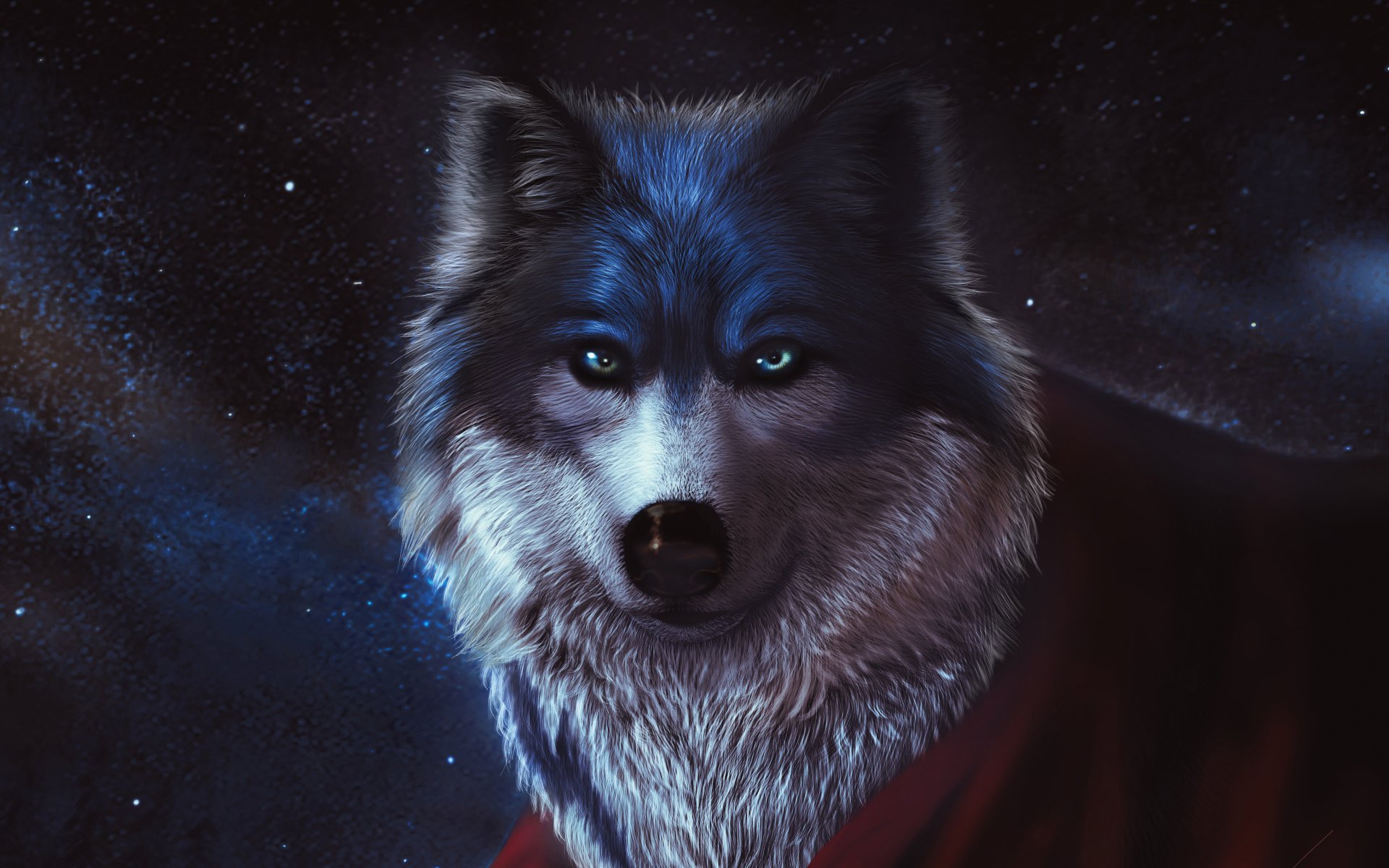 dog sky night red scarf