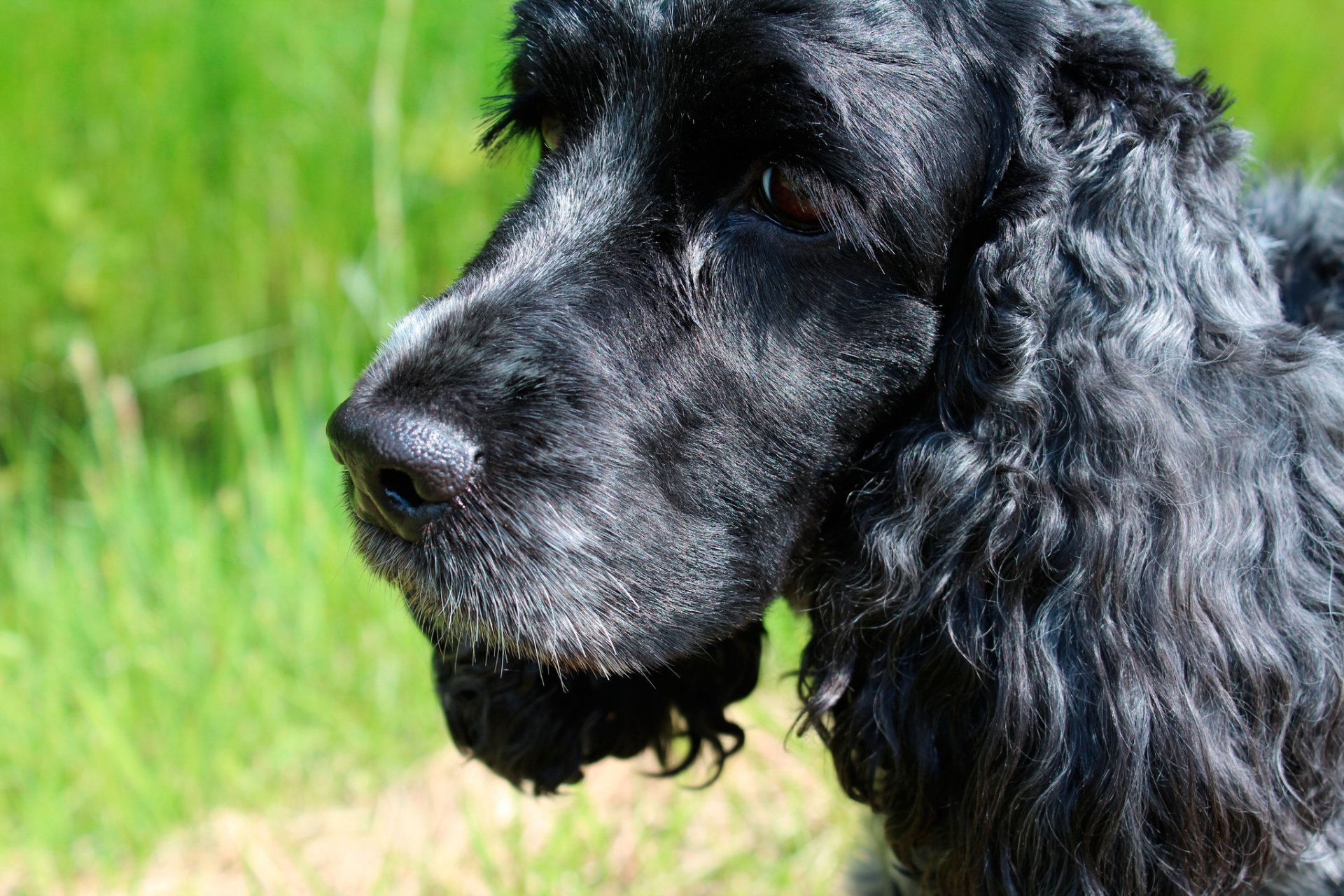 freund hintergrund blick