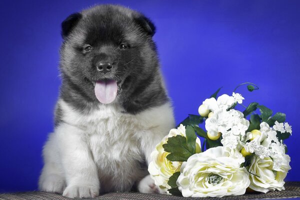 Cute puppy with a bouquet of white flowers