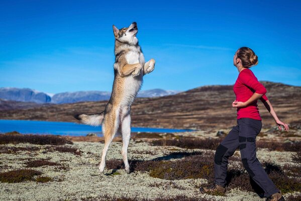 Ragazza allena il cane sullo sfondo della natura