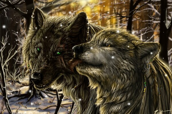 Волк и волчица в зимнем холодном лесу