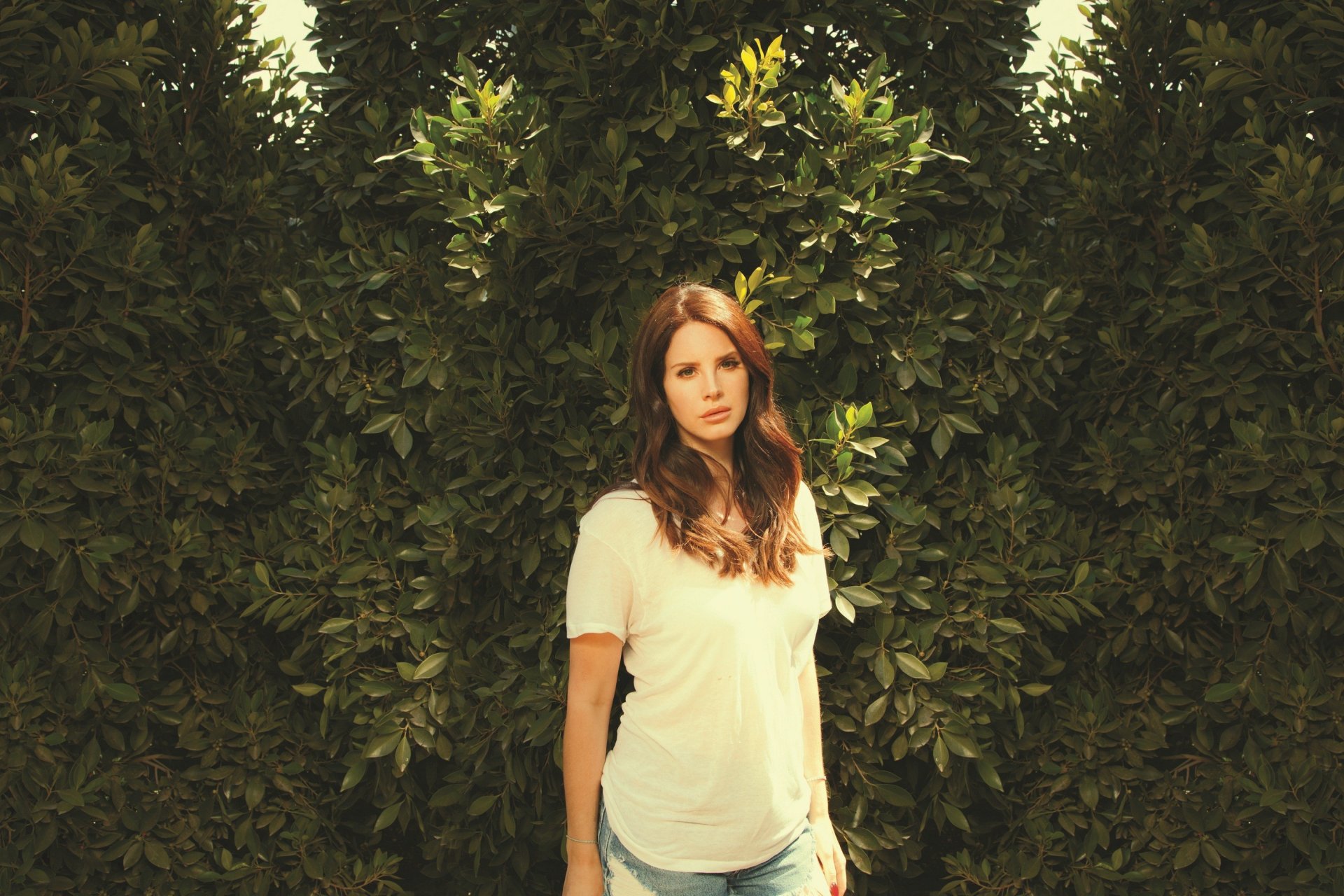 lana del rey cantante