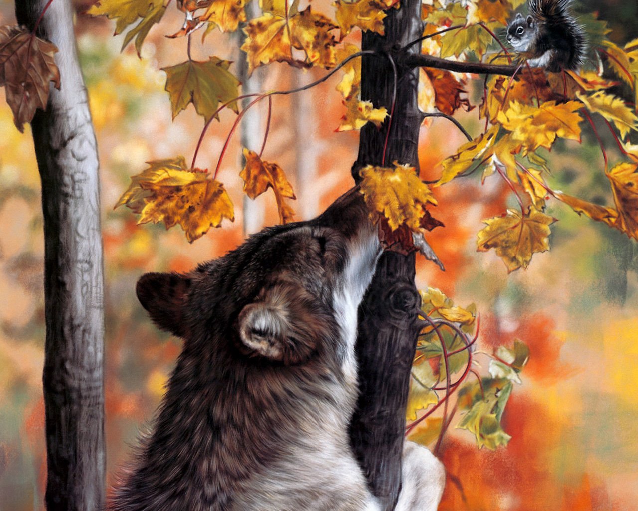 wolf herbst wald