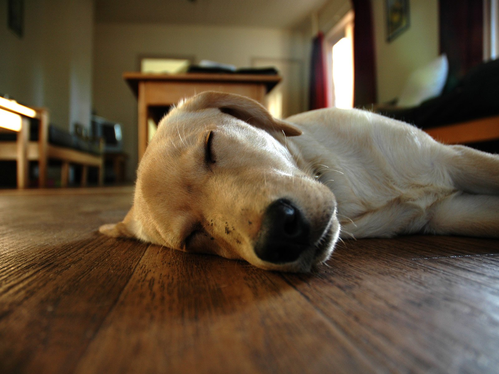 chambre sommeil plancher