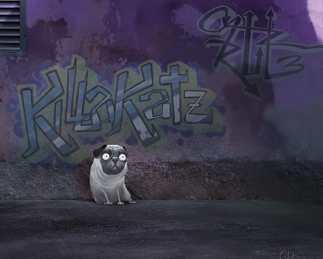 graffiti pug pared