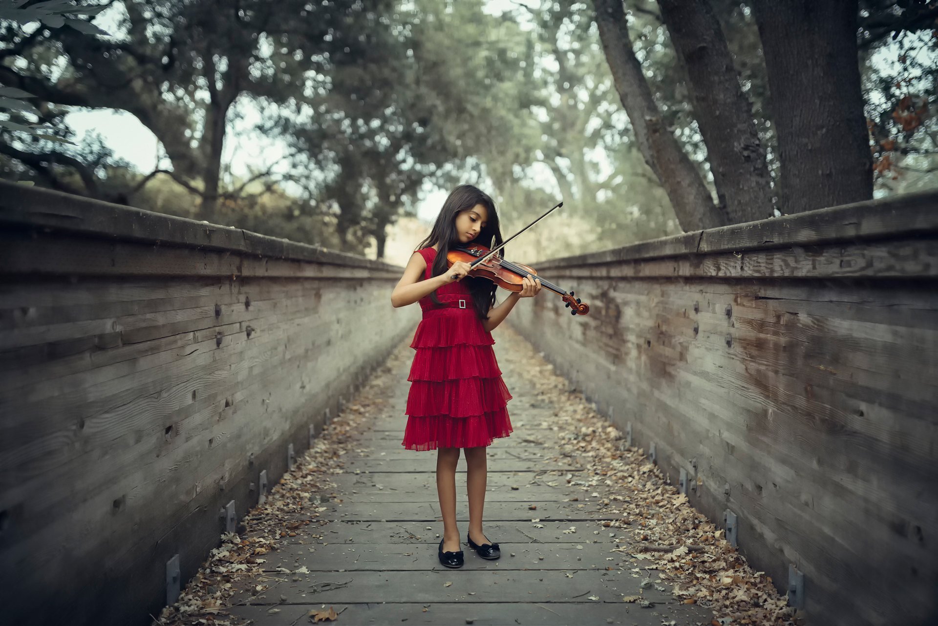 violinista ragazza violino