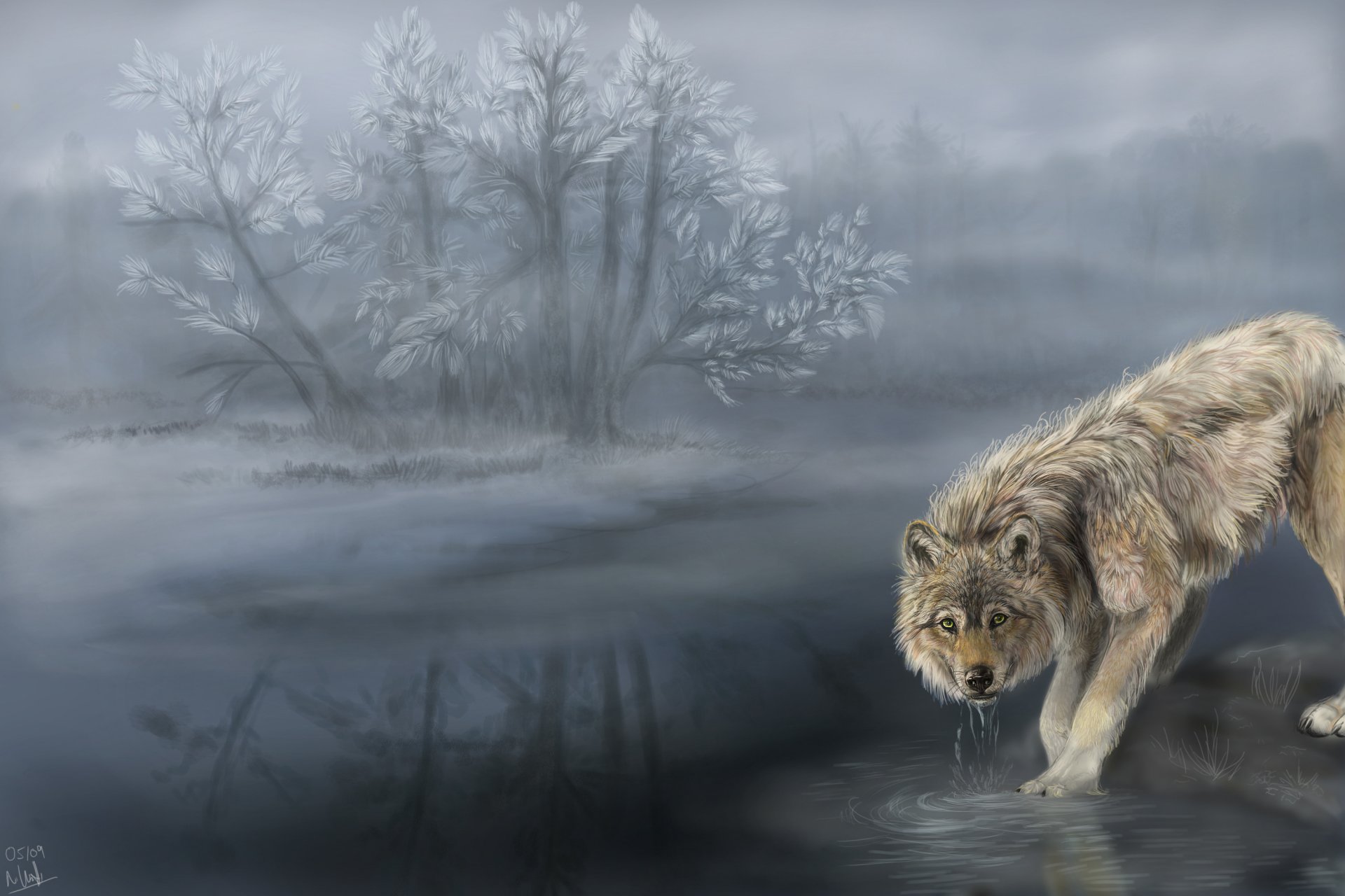 wolf wasserloch nebel