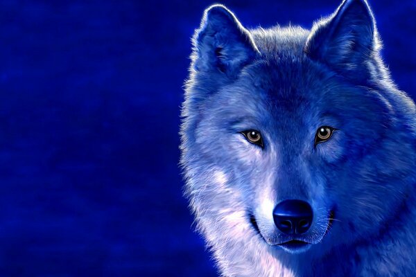 Drawing of a wolf on a blue background