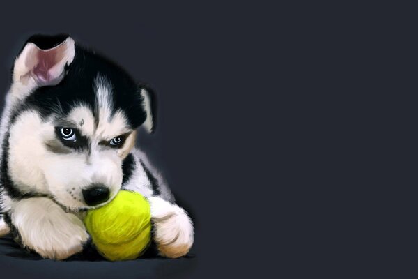 Husky-Welpe bewacht den Ball