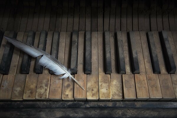 A feather on a dusty old piano