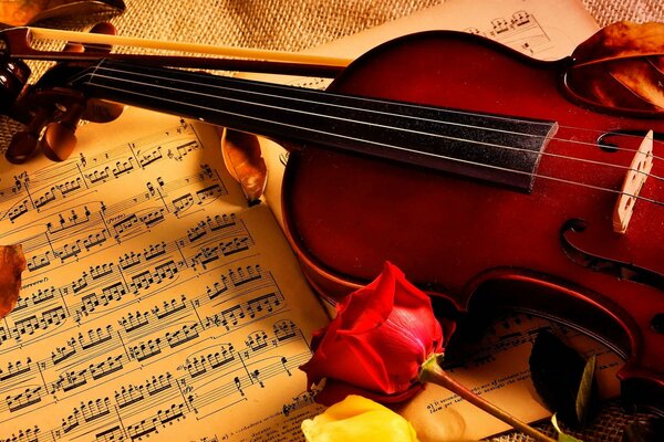 Violin and roses on the notes