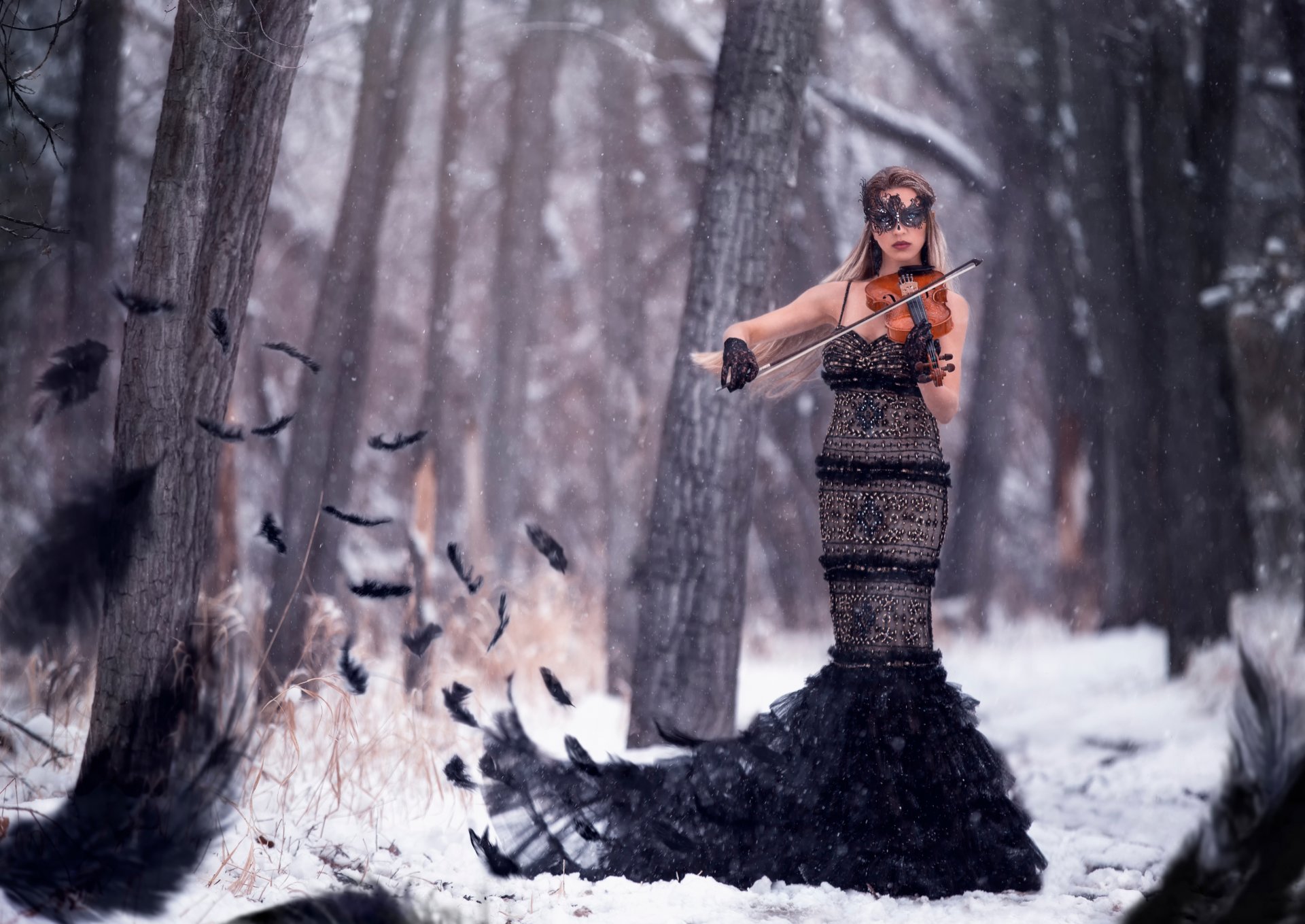 sinfonía cuervo chica violín plumas pájaro bosque nieve