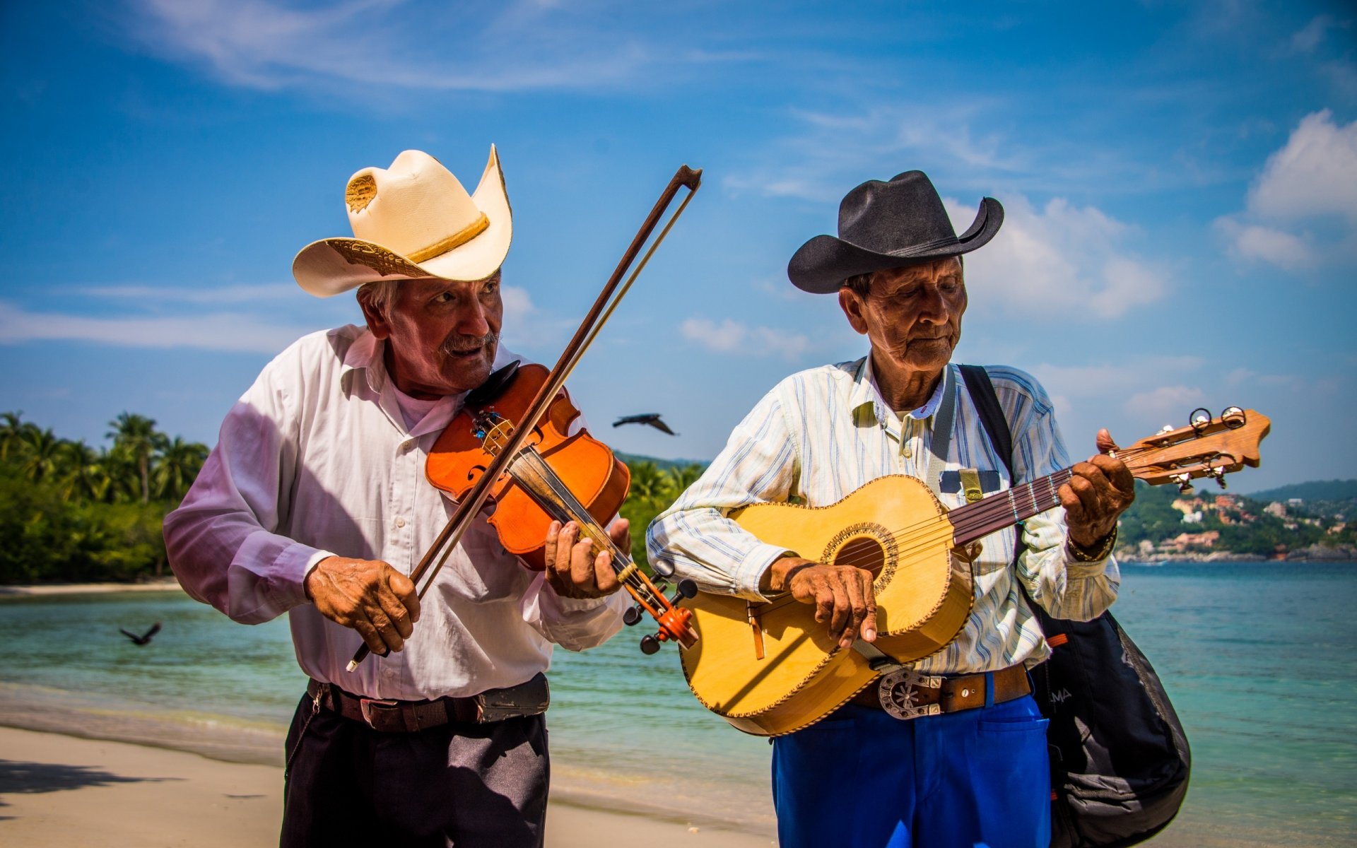 musiciens musique été